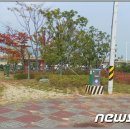 (주)희망조경 이미지