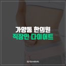 경희율도한의원 | 가양동한의원 직장인 다이어트 3step으로 요요현상 down