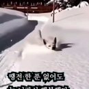 한잔어때 이미지