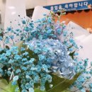 슬립픽서 이미지