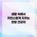 건강을 지키는 차생활 이미지