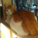 릴리호텔 이미지