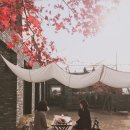 카페 브리드 (cafe bRead) 이미지