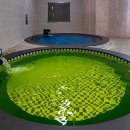 이천 테르메덴 온천 리조트–독일식 스파로 떠나는 여름 힐링 여행