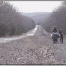 더로드(The road)