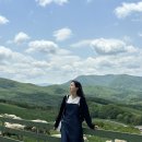 대도목장 | 강원도 평창 아이와 가볼만한 곳 대관령양떼목장 솔직후기