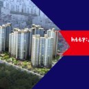 엔젤공인중개사 이미지