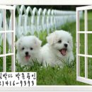 종합운동장주경기장 다목적경기장 이미지