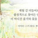 핑크스토리 네이버블로그