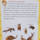 태평양환경 | 사라져 가는 남태평양의 보물섬 :: 한우리 아동 필독서 세계 문화·지리