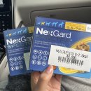 백화점약국 앞 이미지