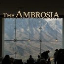 3117 | 강원도 설산이 잘 보이는 델피노 더엠브로시아 카페 내돈내산 솔직 후기