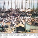 강경나루젓갈 이미지