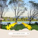 샤인펫 (Shine pet) | 부산 강서구 신상카페 헐스 낙동강뷰 애견동반 야외정원