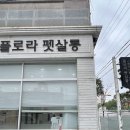 플로라펫 살롱 이미지