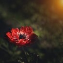 대원스크린골프 이미지