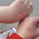 와수체육관 이미지