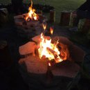 숲속노을로(2) | [경기도 파주] 파주 카라반 다온숲 노을 캠핑정원