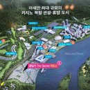 더 씨크릿