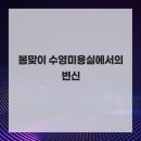수영미용실 멋 수영점 후기