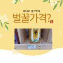 농협 로컬푸드에서 본 벌꿀가격, 천연벌꿀 가격에 대한 단상, 아카시아꿀 2.4kg 가격