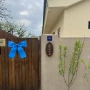 청도감성숙소 스테이아늑 | [청도] 스테이아늑, 자쿠지가 있는 감성 숙소 | 강아지 동반 독채 펜션 내돈내산 후기