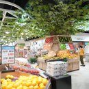 춘천농협농수산물종합유통센터 이미지