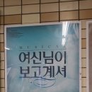 삼연 이미지