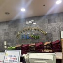 하이렉스파 이미지