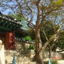 백수해안도로펜션 이미지