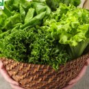 푸른농장 이미지