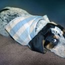 물빛동물병원 이미지