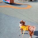 언니네상점 네이버블로그