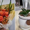 개어비앤비 이미지