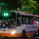 중앙시장(1208) 이미지