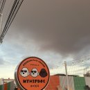 마이독 | [ 광주 북구 ] 신상 애견 카페 , 마이힙독 ( 내 돈 내산 후기 )