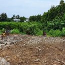 강정동-20 이미지