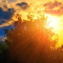 운전3호 태양광 이미지