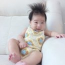 태태옷장