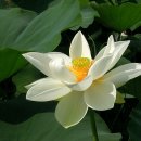 새참농장 이미지