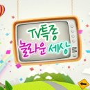 헌터독가