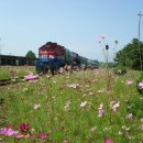 칙칙폭폭 이미지