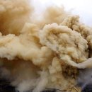 이하리천 이미지