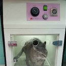 유석동물병원 이미지