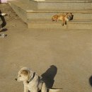 연평초등학교 이미지