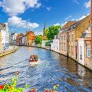 볼투어㈜ 이미지