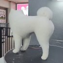 #아름답개 | 추천백만가위 7인치 민가위 574