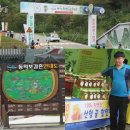 청정자연지리산
