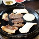 마리조아 이미지