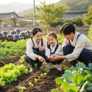 다빈생활문화공동체협동조합 | 자녀와 함께한 2026 귀촌 이야기｜가족 귀촌의 리얼 후기와 준비 팁